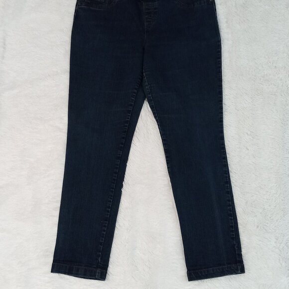 Faded Glory Women's 3 Pocket, Stretch Denim Jeans (Size 14) Color: Jrinse - Picture 2 of 8